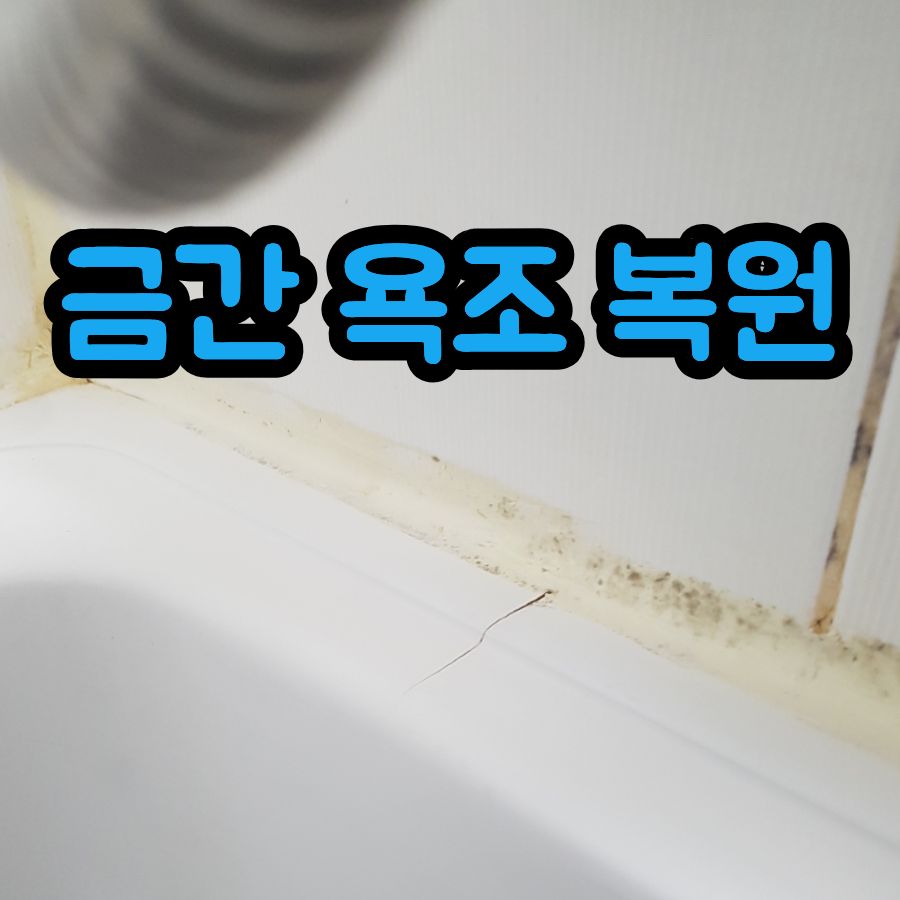 금간 욕조 복원, 누수 걱정 해결한 부분 수리